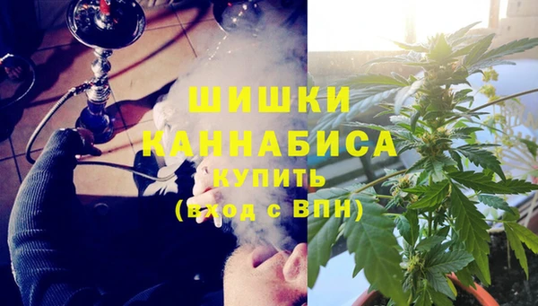 гидра Дмитров