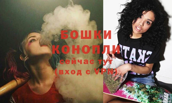 хмурый Дмитриев