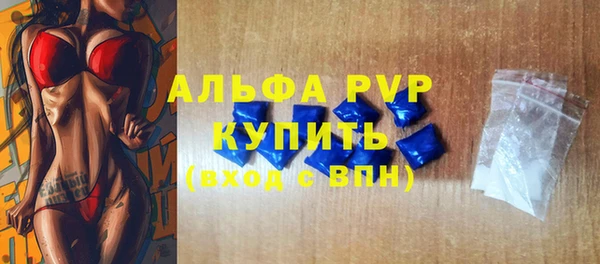 хмурый Дмитриев