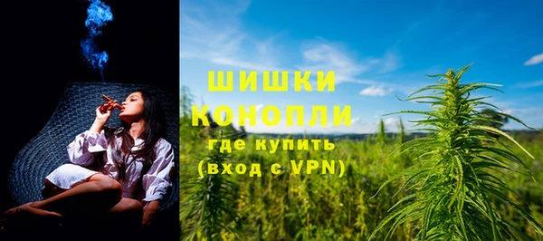 индика Липки