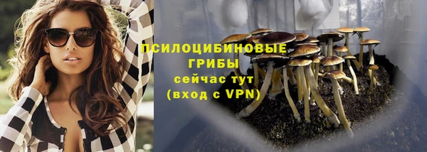 хмурый Дмитриев