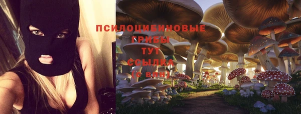 хмурый Дмитриев